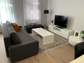 Zair Fireplace Apartments